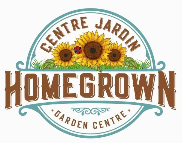 New Project - 2024-02-23T190702.692